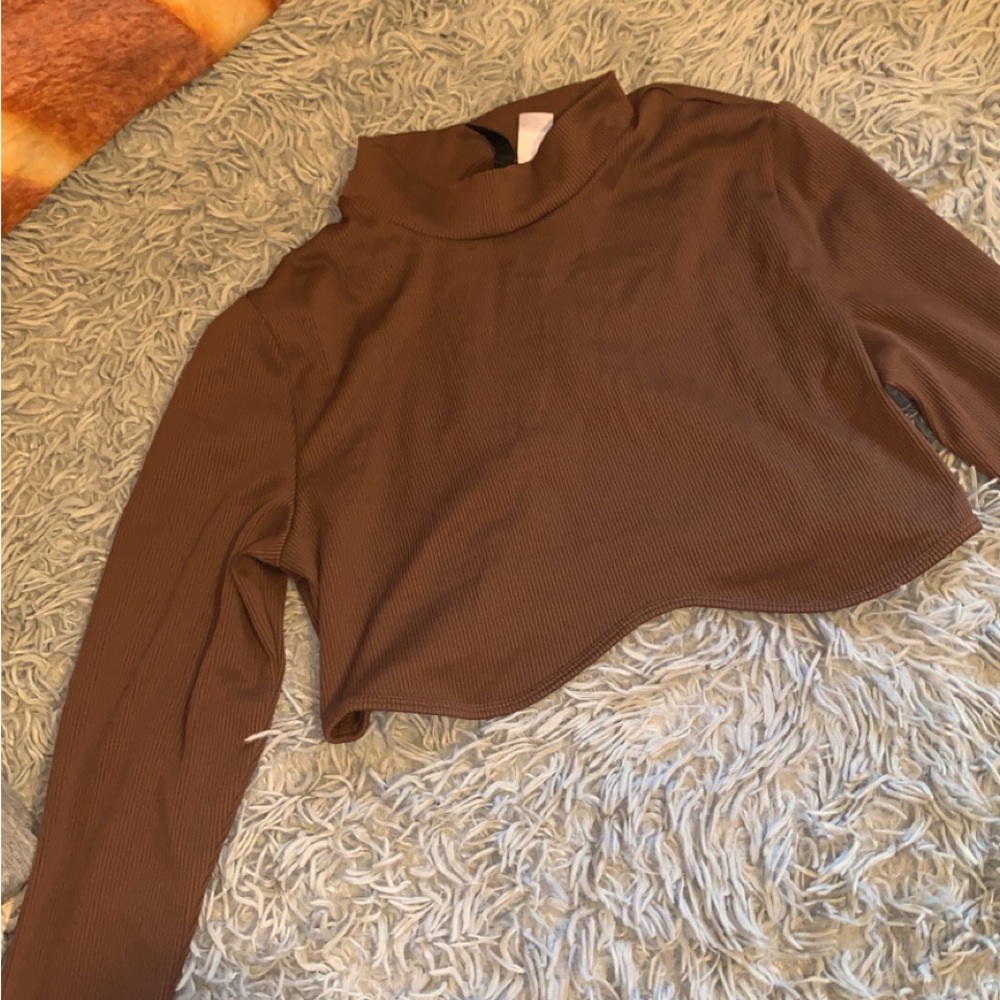 Brown long sleeved crop top